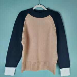 Ann Taylor Womens Tan Colorblock Ribbed Cuffs Crew Neck Sweater Size Large